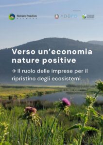 Copertina rapporto nature positive network