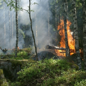 2025 anno record per incendi nella Ue