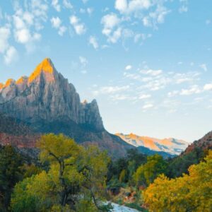 Nature Restoration Law