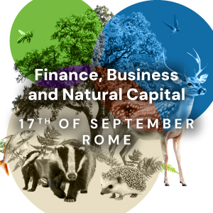 Capitale naturale e strategie economiche
