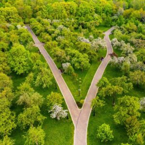 Piano Sociale per il Clima