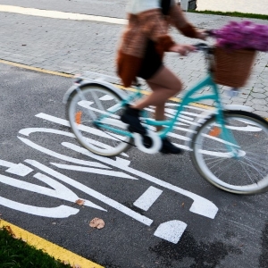 Referendum Berlino auto private