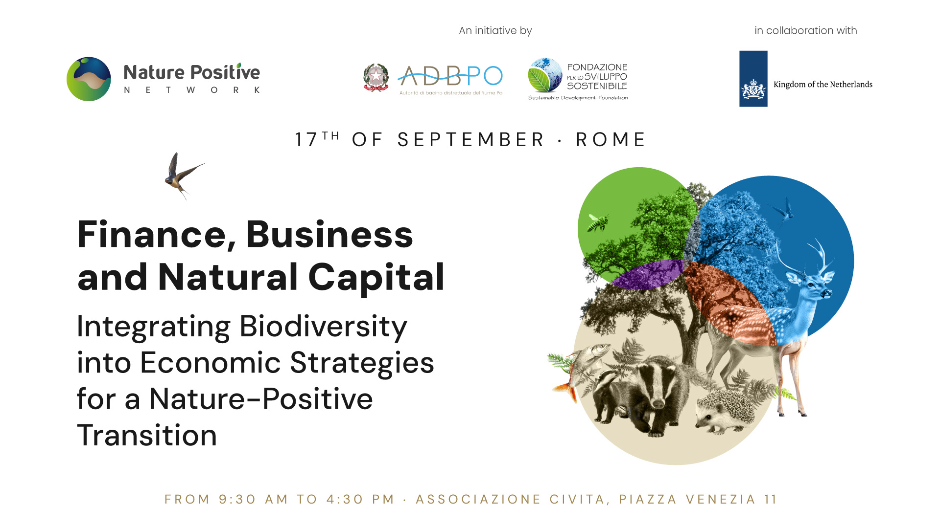 Capitale naturale e strategie economiche