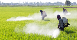 Piano nazionale sui Pesticidi