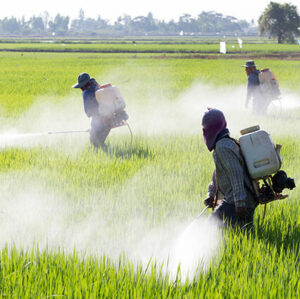 Piano nazionale sui Pesticidi