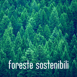 foreste-sostenibili