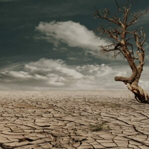 cambiamento climatico